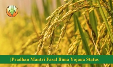 Pradhan Mantri Fasal Bima Yojana enrollment up 27 percent in current fiscal so far