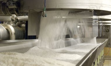 ISMA revises sugar output estimate to 340 LT from 330.5 LT; 255.5 LT produced till Feb