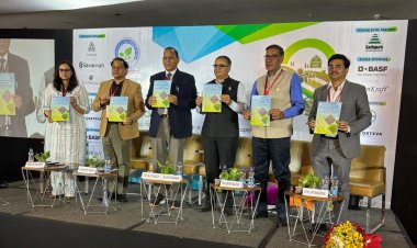 Adopt DSR for water-efficient, sustainable, low-cost rice cultivation with low emission: Experts