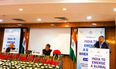 Possibilities of Wheat production, export - How will India emerge as a global player