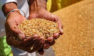 Formula for Keeping Prices of Food Products Low despite MSP Hike