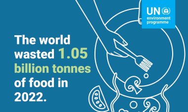 With 783 million people going hungry, a fifth of all food goes to waste: UN Report