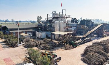 Ground Report: A New Era in the Jaggery-Khandsari Industry with Tech-Savvy Entrepreneurs