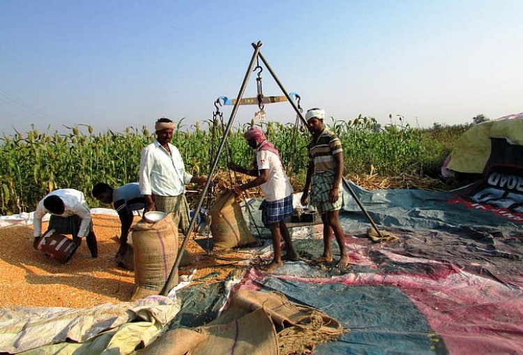 Growth rate of agri, allied sector slips below one pc in 2023-24