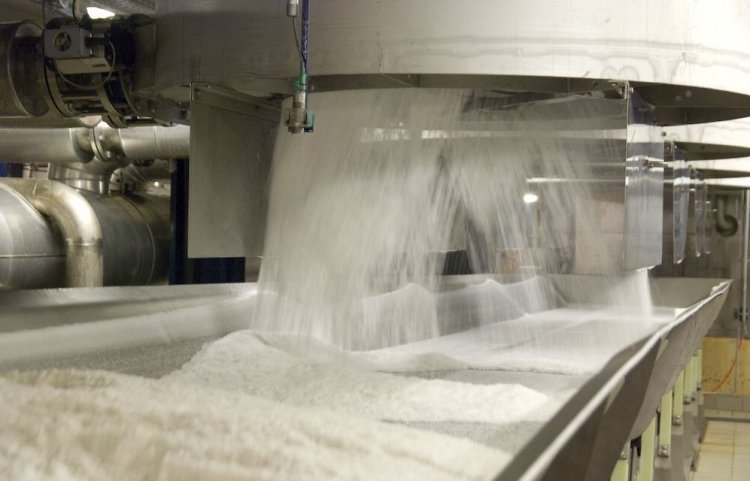 ISMA revises sugar output estimate to 340 LT from 330.5 LT; 255.5 LT produced till Feb