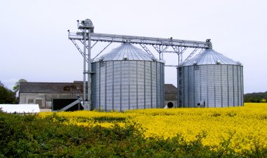 Punjab govt yields to farmers' demand, withdraws order declaring private silos as purchase centres
