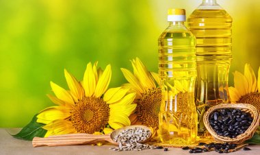 Oilseed farmers deprived of MSP, though sunflower oil import at record high