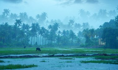 Monsoon Progress Slows, Delaying Relief for Heat-Stricken North India
