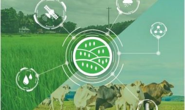 IBISA's innovative climate insurance solution shields dairy industry from heat wave