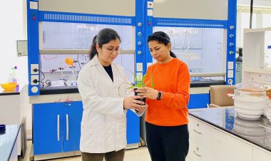 Smart microgels to improve efficiency of slow release fertilisers