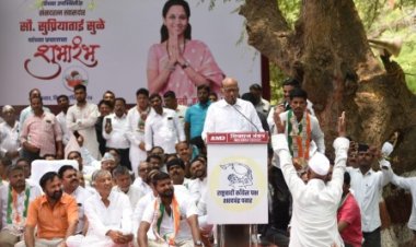 POLL-SNIPPETS  MVA will win over 50pc seats in Maharashtra: Pawar