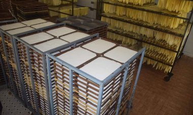 AIKS, Karshaka Sangham, rubber farmers take on tyre cartel; file Intervention Application in SC