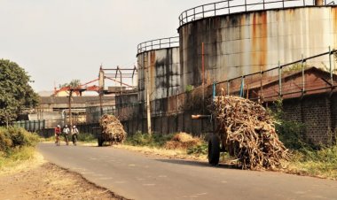 Boost to sugar mills after govt's nod to use B-heavy molasses stock to make ethanol