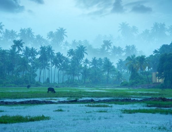 Skymet Predicts Below-Normal Monsoon in India for 2026, Central and Northwestern States to Face Deficits