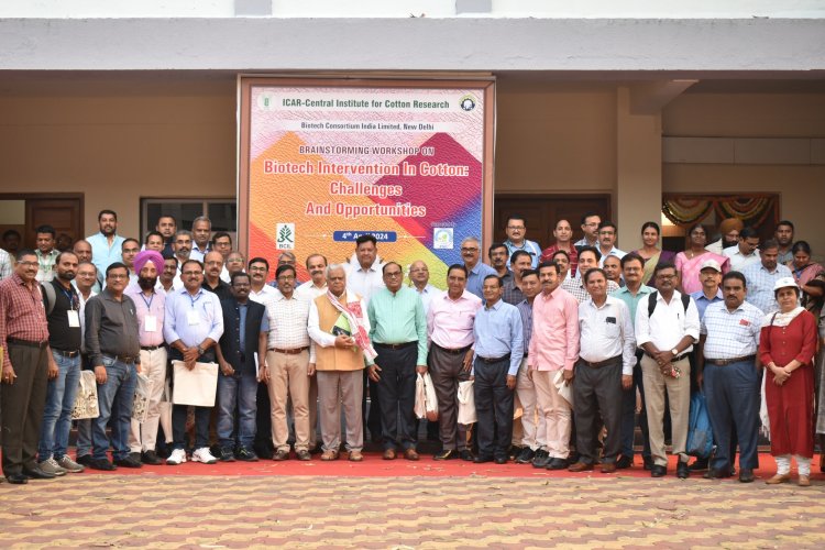 Experts call for continued biotech interventions to harness full potential of GM cotton in India