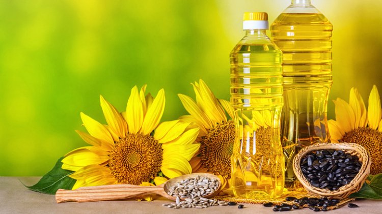 Oilseed farmers deprived of MSP, though sunflower oil import at record high