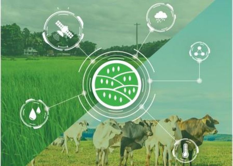IBISA's innovative climate insurance solution shields dairy industry from heat wave