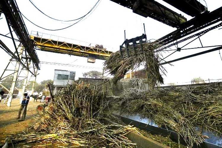 Sugar output may remain low; 448 mills closed, 47 more than last year