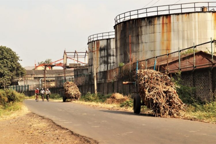 Boost to sugar mills after govt's nod to use B-heavy molasses stock to make ethanol