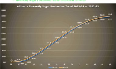 ISMA seeks 2 MT exports as India's sugar output as per estimates