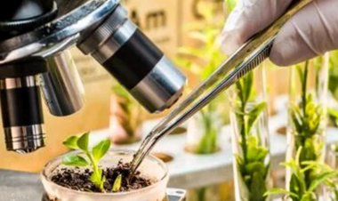 AIKS Calls Nationwide Protests on December 10, Rejects Seed Bill 2025 and ITPGRFA Compromise Proposal