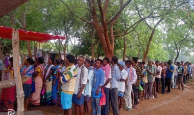 Above 66pc voter turnout in Phase IV amid violence in Andhra, Bengal