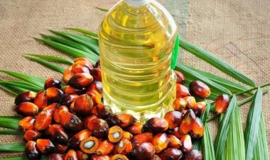 India's April palm oil imports increased 34 pc on lower global prices