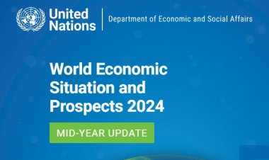 India gaining on foreign investments at China’s loss: UN DESA