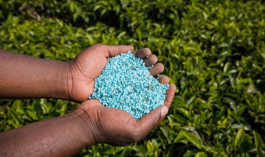 Fertilising Bilateral Relations between India and Morocco