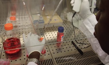 Nuclear techniques can play crucial role in setting science-based global food standards