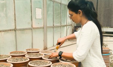 Bihar's Divya Raj Aims for Sustainable Soil Usage with FMC India Science Leaders Scholarship