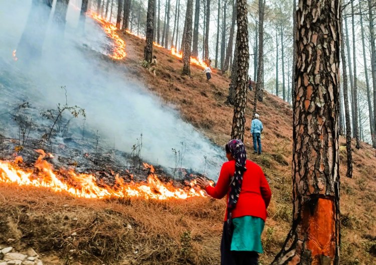 Forest fires in Uttarakhand leave five dead, burning of crop residues in the fields banned