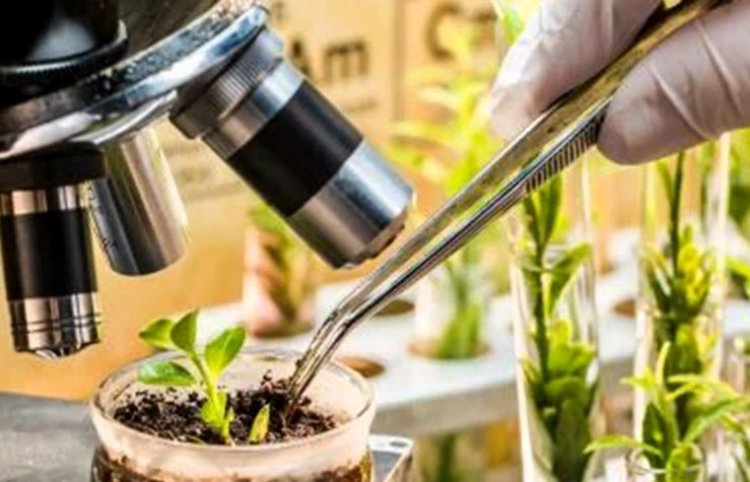 AIKS Calls Nationwide Protests on December 10, Rejects Seed Bill 2025 and ITPGRFA Compromise Proposal