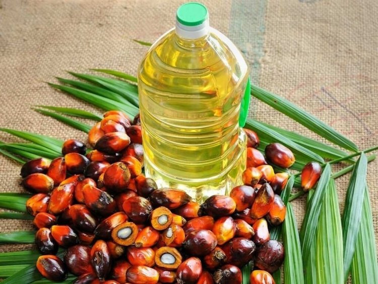 India's April palm oil imports increased 34 pc on lower global prices