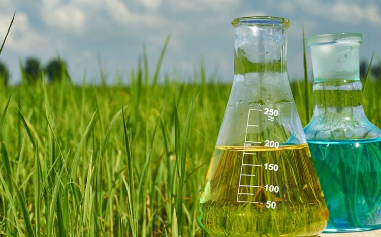 Indian agrochemical sector poised for 9pc CAGR growth by FY28