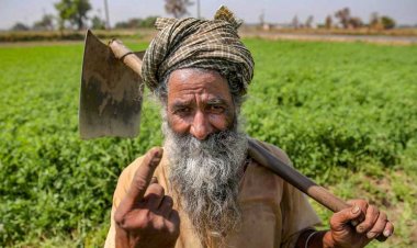 Agrarian Distress Overshadowed by Inflation, Unemployment, Temple  and OBC Reservations in LS Polls