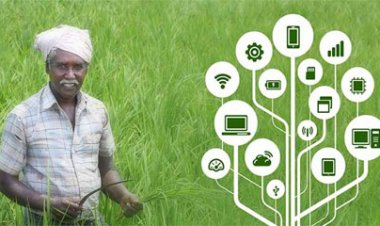 Innovations for Transformation in Agri-Food Systems in the Amrit Kaal