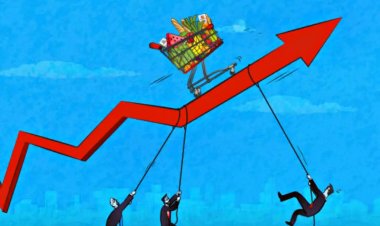 Wholesale inflation at 2.61 percent in may, highest in 15 month