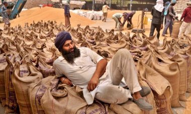 Centre has no proposal to alter wheat import duty, Keeping watch on prices