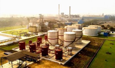 Balrampur Chini Mills Fuels Sustainable Drive with Green Initiatives
