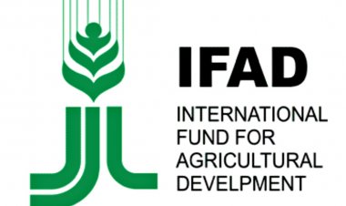 IFAD launch US$217 million programme to empower rural communities in J&K   