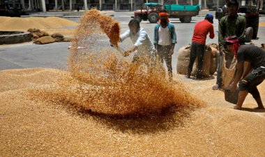 Centre imposes stock limit on Wheat until 31st March in all States and UTs