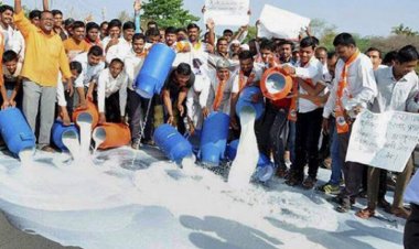 Why skimmed milk powder has become a burden for dairy industry and farmers in India