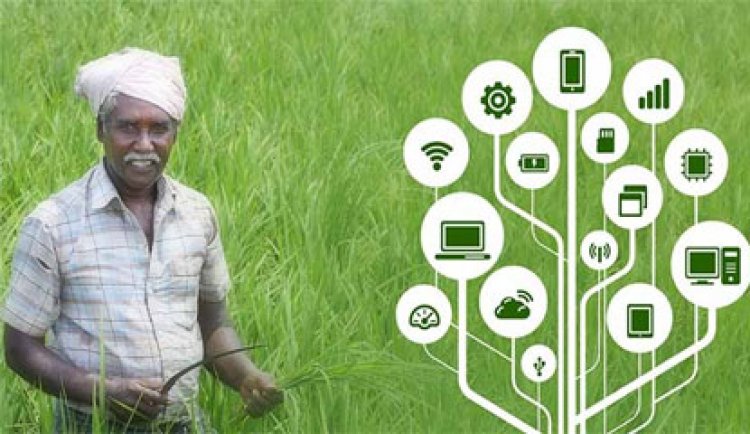 Innovations for Transformation in Agri-Food Systems in the Amrit Kaal