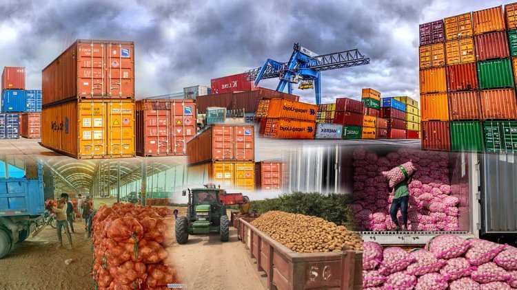 Unravelling Of Agricultural Export Policy