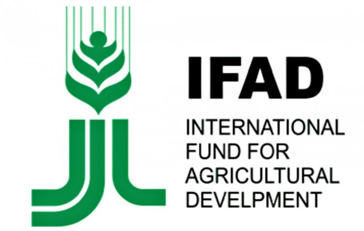 IFAD launch US$217 million programme to empower rural communities in J&K   