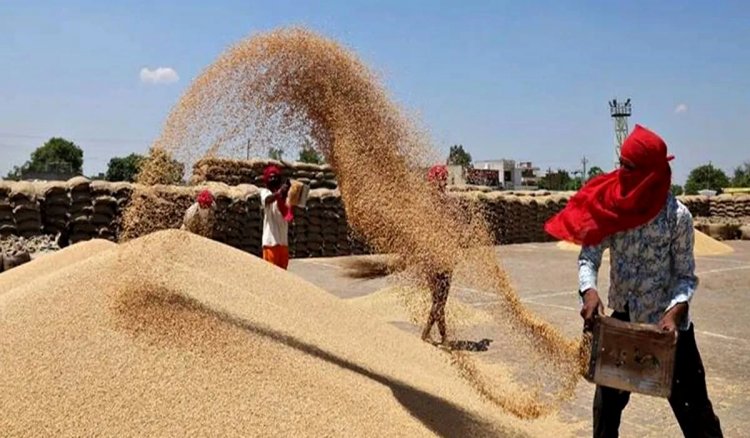 Sufficient wheat stock available to undertake market interventions: Centre