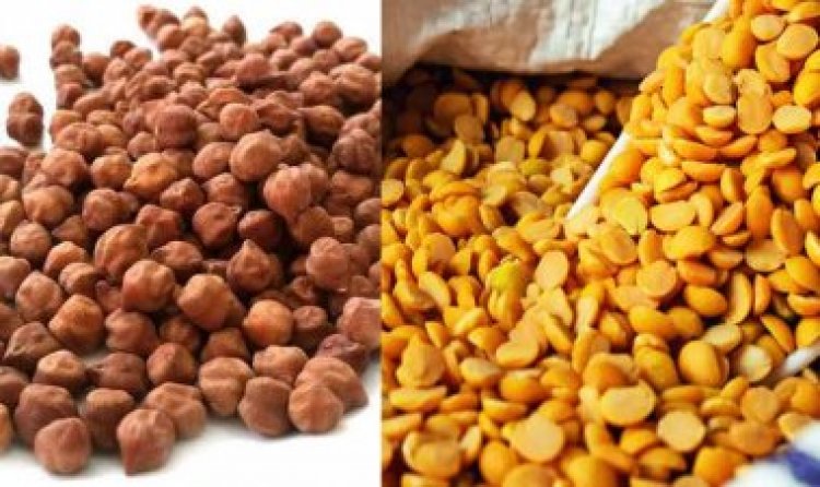Government Imposes Stock Limits on Pulses to Curb Hoarding and Control Prices