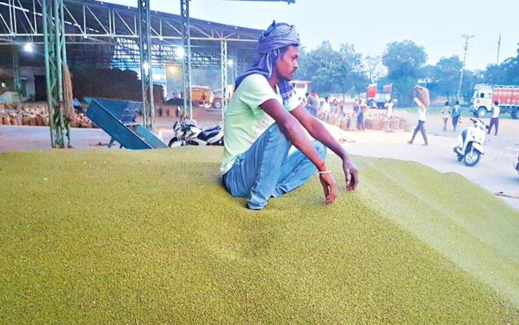 Madhya Pradesh Farmers Struggle with Moong Procurement Amid Government Limits and Price Discrepancies