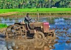 A Rs 56,500 Crore Question: Why Is Fuel for Tractors Taxed Like Fuel for Luxury Cars?